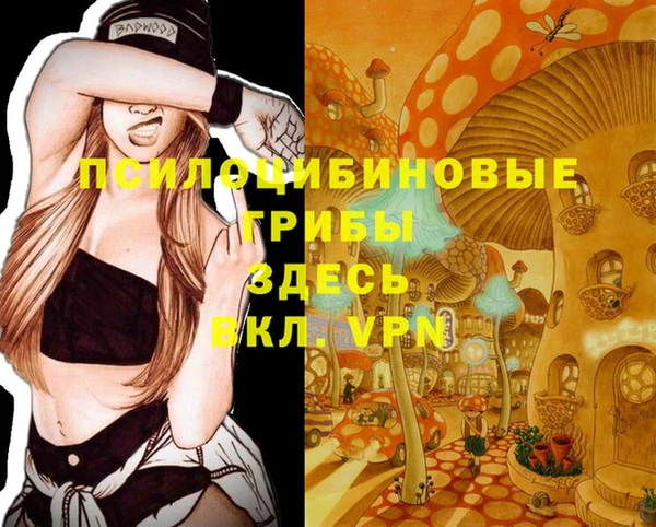 дурь Абаза