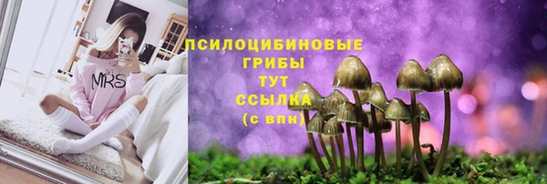 дурь Абаза