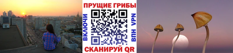 Псилоцибиновые грибы MAGIC MUSHROOMS Липецк